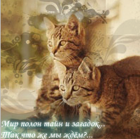 Рассвет_Звёзд